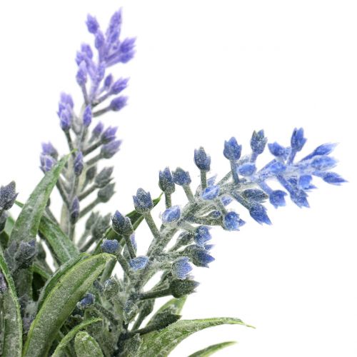 Floristik24 Lavendel i burk H15cm