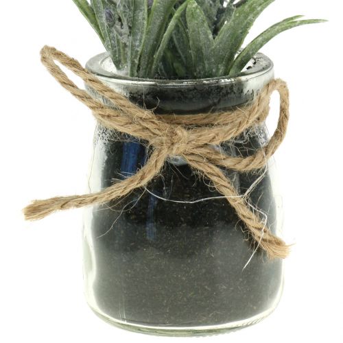 Floristik24 Lavendel i burk H15cm