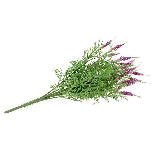 Floristik24 Lavendelbuske lila 43cm