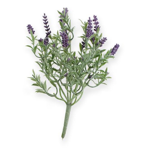 Floristik24 Dekorativ lavendelbuske 25 cm