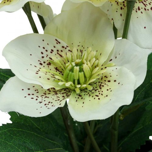 Artikel Fastelavsros Hellebore julroskruka konstgjorda blommor H25cm vit