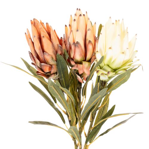 Konstgjord Protea Leucadendron-blomma med lång stjälk, 65 cm, 3 stycken | Floristik24.se