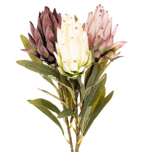 Protea konstgjord blomma Leucadendron 100cm 3st köpa | Floristik24.se