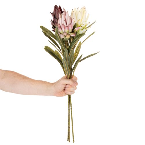 Protea konstgjord blomma Leucadendron 100cm 3st | Floristik24.se