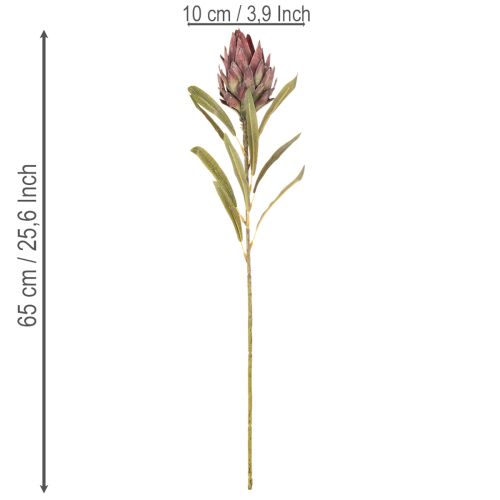 Protea konstgjord blomma Leucadendron 100cm 3st | Floristik24.se