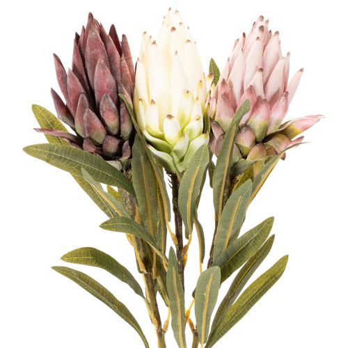 Protea konstgjord blomma Leucadendron 100cm 3st | Floristik24.se