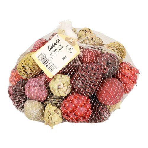 Artikel Leucadendron kottar Bellgum Grön Röd Gul Frostad 300g