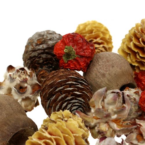 Floristik24 Exotisk blandning av torkad frukt och kottar naturliga 500 g