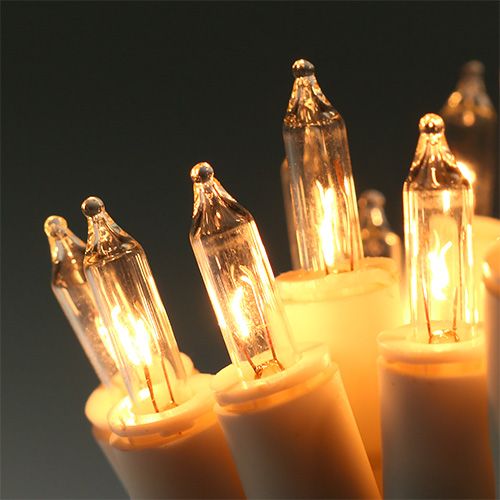 Floristik24 Fairy light mini 20er 3m för insidan vit / klar