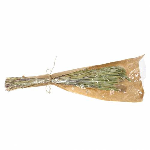 Floristik24 Timothy gräs natur 50-60cm 100g