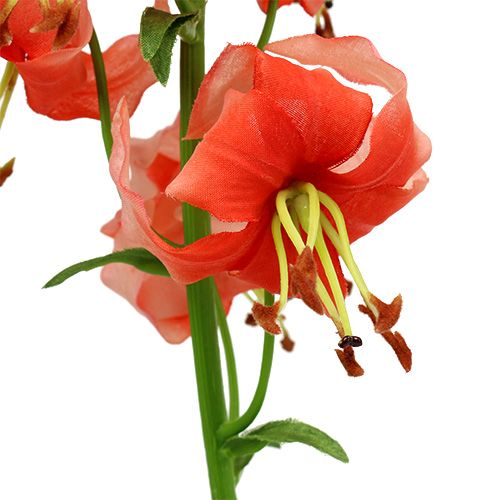 Floristik24 Lilja 87,5 cm lax