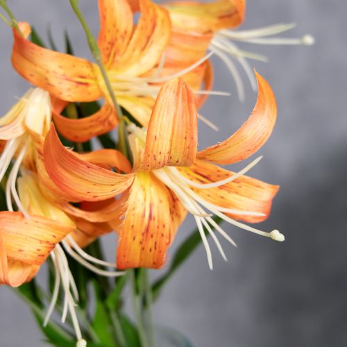 Artikel Konstgjorda liljor, dekoration för bröllop och evenemang, 77 cm, 4 stycken