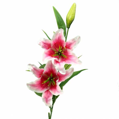 Floristik24 Oriental Lily "Stargazer" Vit, Rosa 86cm