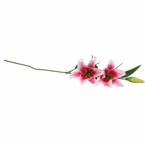 Floristik24 Oriental Lily "Stargazer" Vit, Rosa 86cm