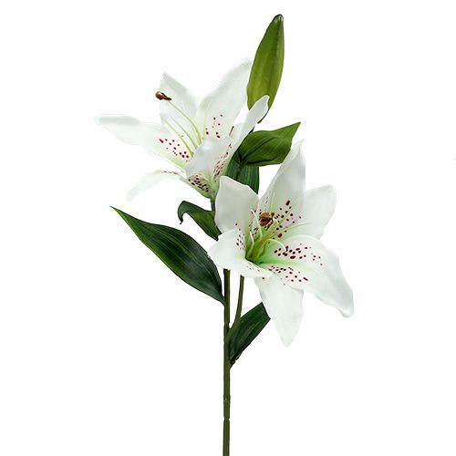 Floristik24 Liljevit 66cm