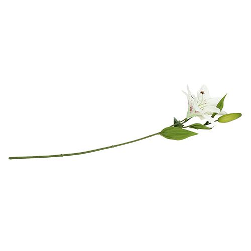 Floristik24 Liljevit 66cm