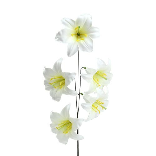 Floristik24 Lily on wire medium 25 st
