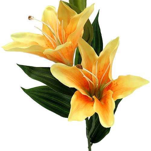 Floristik24 Konstgjord lilja orange L66cm 1p