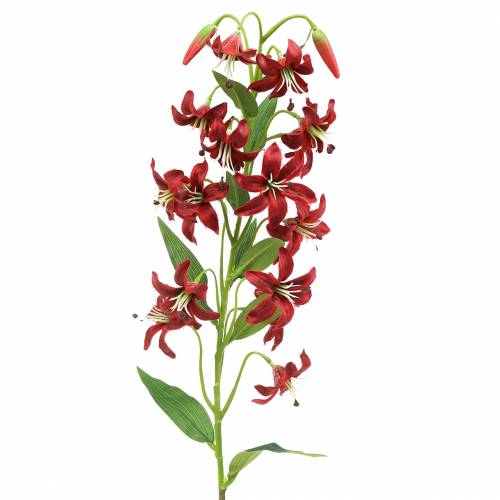 Floristik24 Liljröd 82cm