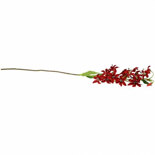 Floristik24 Liljröd 82cm