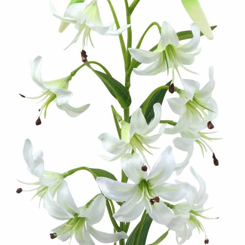 Floristik24 Lilja vit 82cm