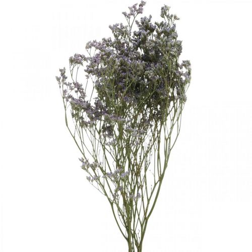 Floristik24 Torra blommor, havslavendel, Statice Tatarica, havslavendel, Limonium Violet L45–50cm 30g