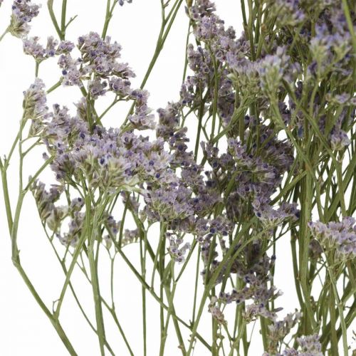 Floristik24 Torra blommor, havslavendel, Statice Tatarica, havslavendel, Limonium Violet L45–50cm 30g