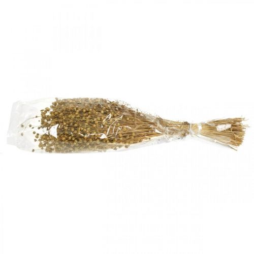 Floristik24 Naturligt lin, gräs för torr blomsterbruk, Linum naturprodukt 160g