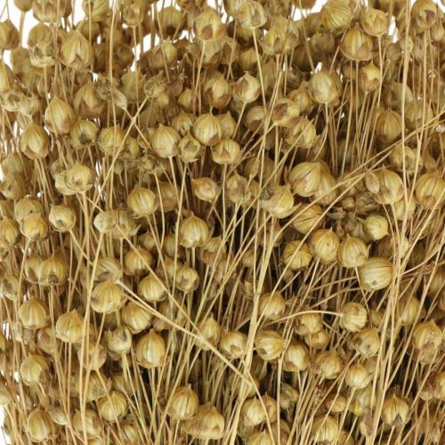 Floristik24 Naturligt lin, gräs för torr blomsterbruk, Linum naturprodukt 160g