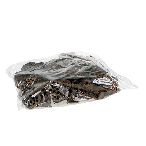 Artikel Lotuskolv medium 100 stycken naturell