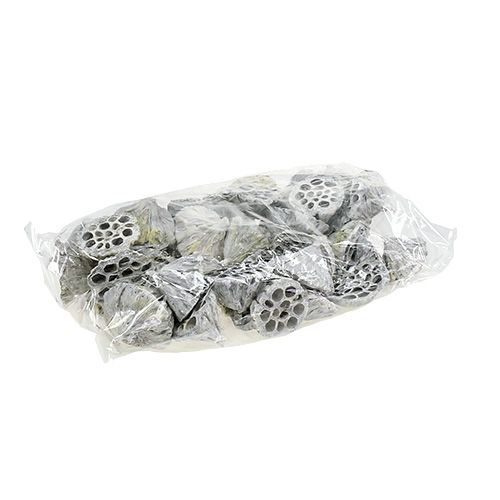 Artikel Lotus Natural Deco Lotus Lampa Vit Tvättad 6-8cm 50 st
