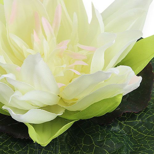Floristik24 Lotusblomma flytande 18cm vit 3st
