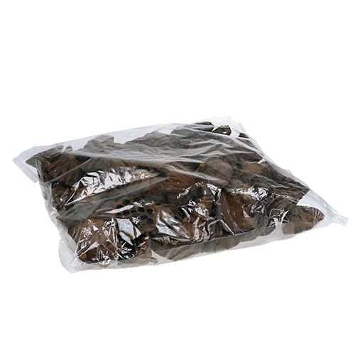 Artikel Lotuskolv stor 100 stycken naturell