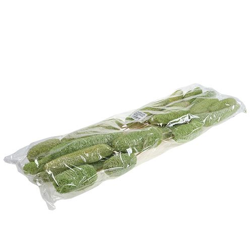 Artikel Luffa stor på pinne grön 25 st