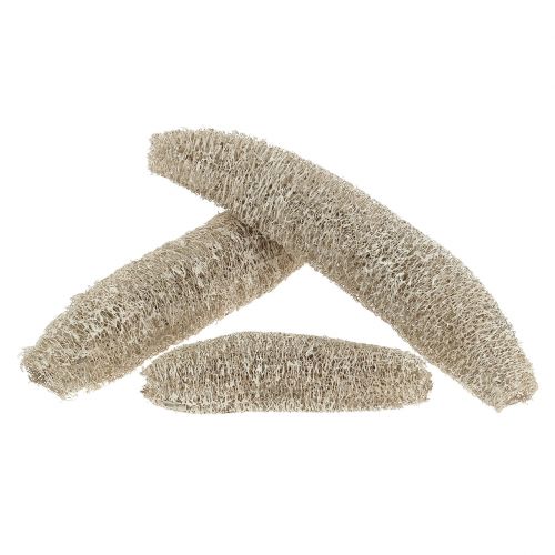 Luffa stor tvättad vit 20st