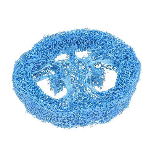 Floristik24 Loofah skivor himmelsblå 25 st