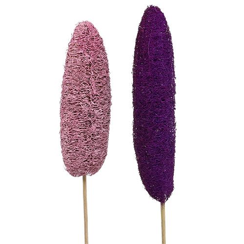 Loofa på pinne stor rosa, ljung 8cm - 30cm 25p