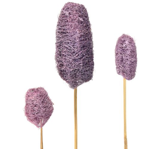 Luffa på stjälk små torkade dekorativa bär 5-12 cm 25 st