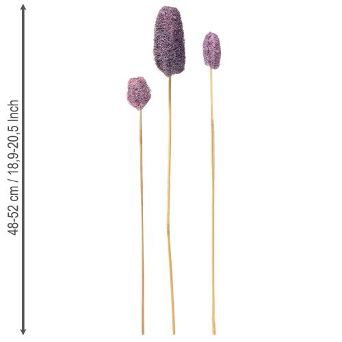 Artikel Luffa på stjälk små torkade dekorativa bär 5-12 cm 25 st