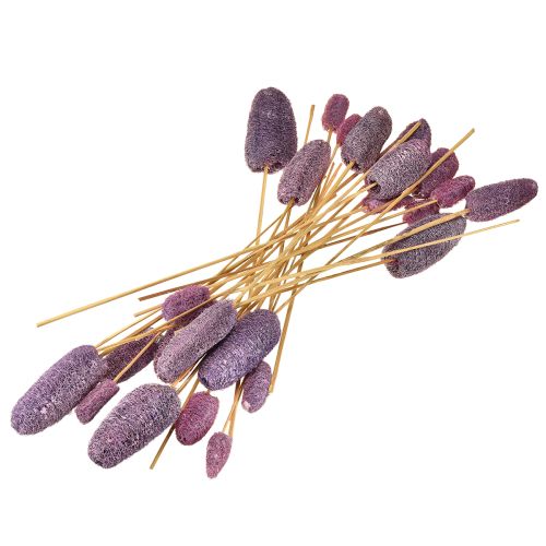 Artikel Luffa på stjälk små torkade dekorativa bär 5-12 cm 25 st