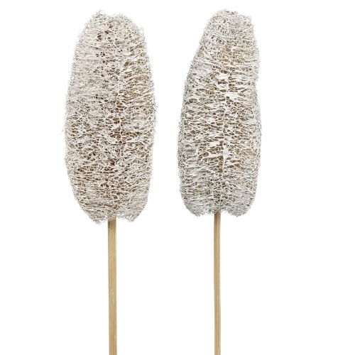 Artikel Luffa liten på pinne vittvättad 25 st