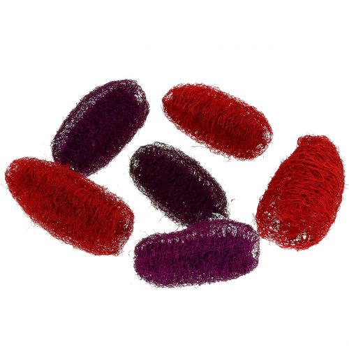 Floristik24 Luffa assorterad lila, vinröd 9cm - 12cm 50 st