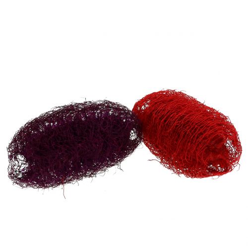 Floristik24 Luffa assorterad lila, vinröd 9cm - 12cm 50 st