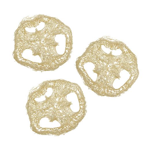 Floristik24 Luffa skivor blekta Ø5cm 48 st