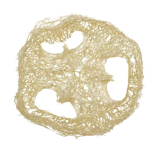 Floristik24 Luffa skivor blekta Ø5cm 48 st