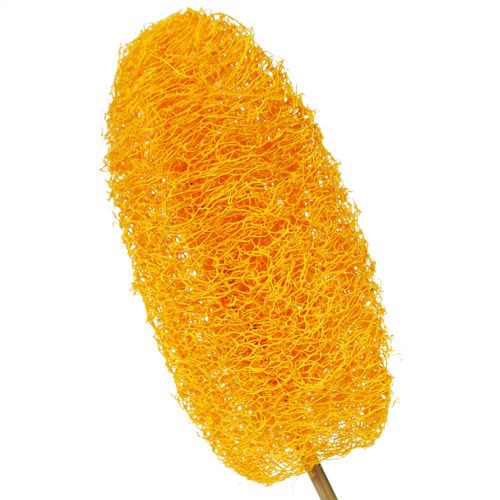 Artikel Liten luffa på pinne, guldgul, 25 st