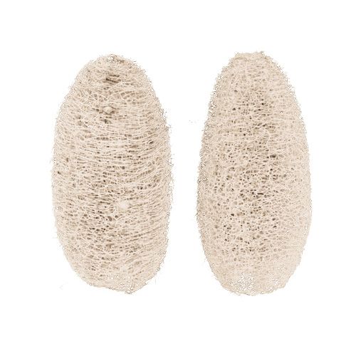 Artikel Luffa liten blekt 50 st