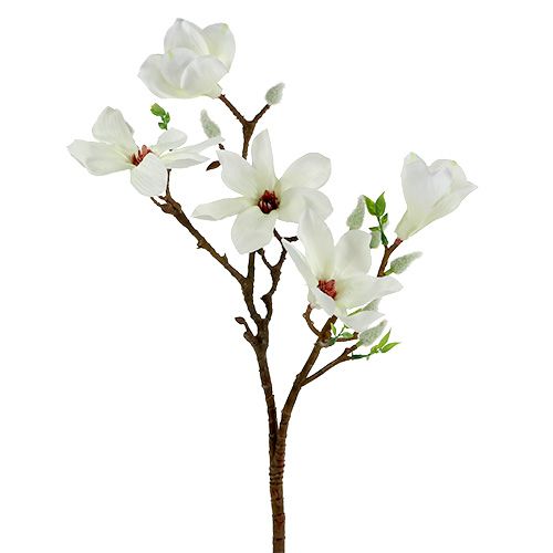 Floristik24 Magnolia vit 51cm 3st