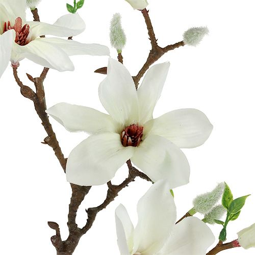 Floristik24 Magnolia vit 51cm 3st
