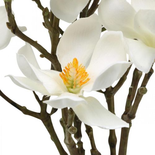 Artikel Konstgjorda magnoliakrenar vit deco-gren H40cm 4st i gäng